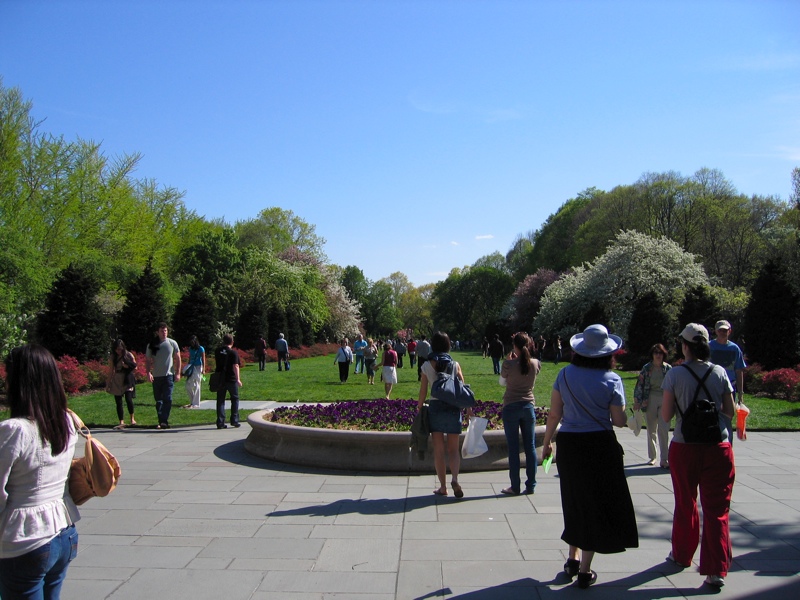 Brooklyn Botanical Gardens