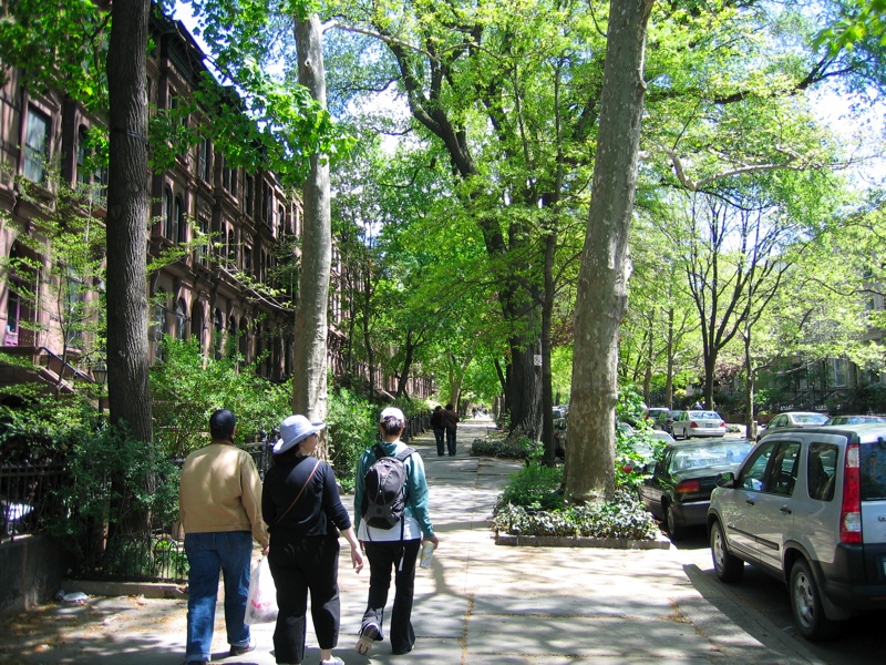 Down brownstone-lined streets