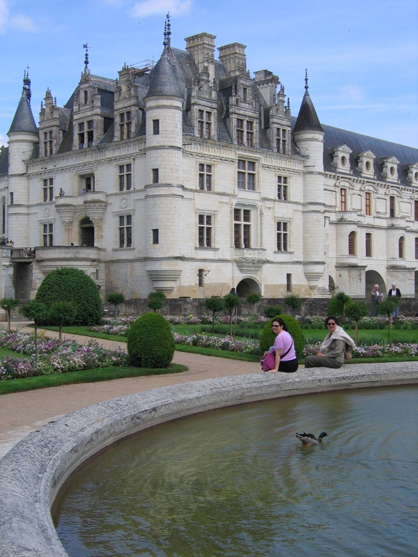 Alerted to the duck's presence