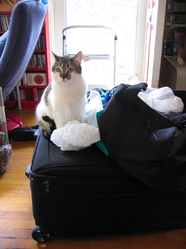 "YOU CAN NEVER LEAVE AGAIN!"